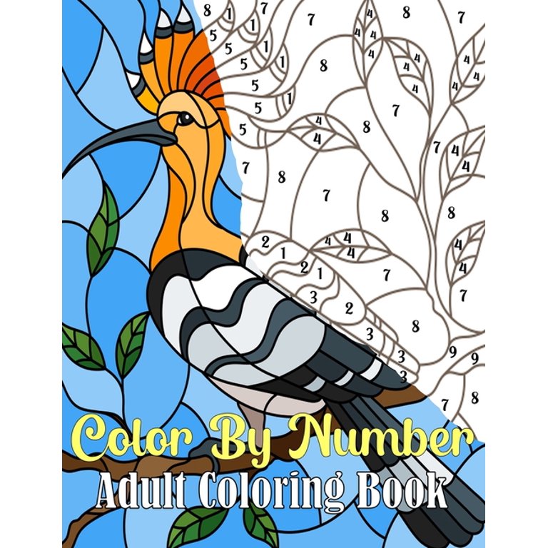 color by number adult coloring book with large print birds flowers animals and pretty patterns adult coloring by numbers paperback walmart com