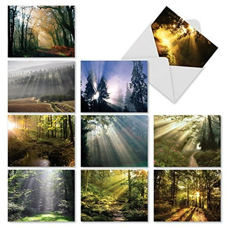 'M1735BN SHINING THROUGH' 10 Assorted All Occasions Note Cards Feature Sunlit Landscapes with Envelopes by The Best Card