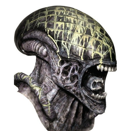 Adult's Alien Mask