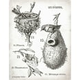 thumbnail image 2 of Babbitt, Gwendolyn 26x32 Black Ornate Wood Framed with Double Matting Museum Art Print Titled - French Birdnests, 2 of 4