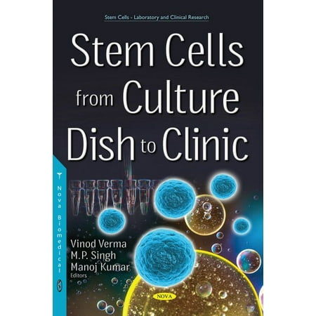 Stem Cells from Culture Dish to Clinic (Review Of The Best Stem Cell Clinics In The World)