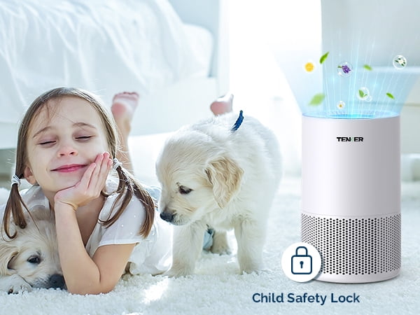 Air Purifier For Home And Bedroom With Aromatherapy, H13 True Air Purifier Cleaner For Bedroom With Night Light, 3 Fan Speed, Sleeping Mode, White