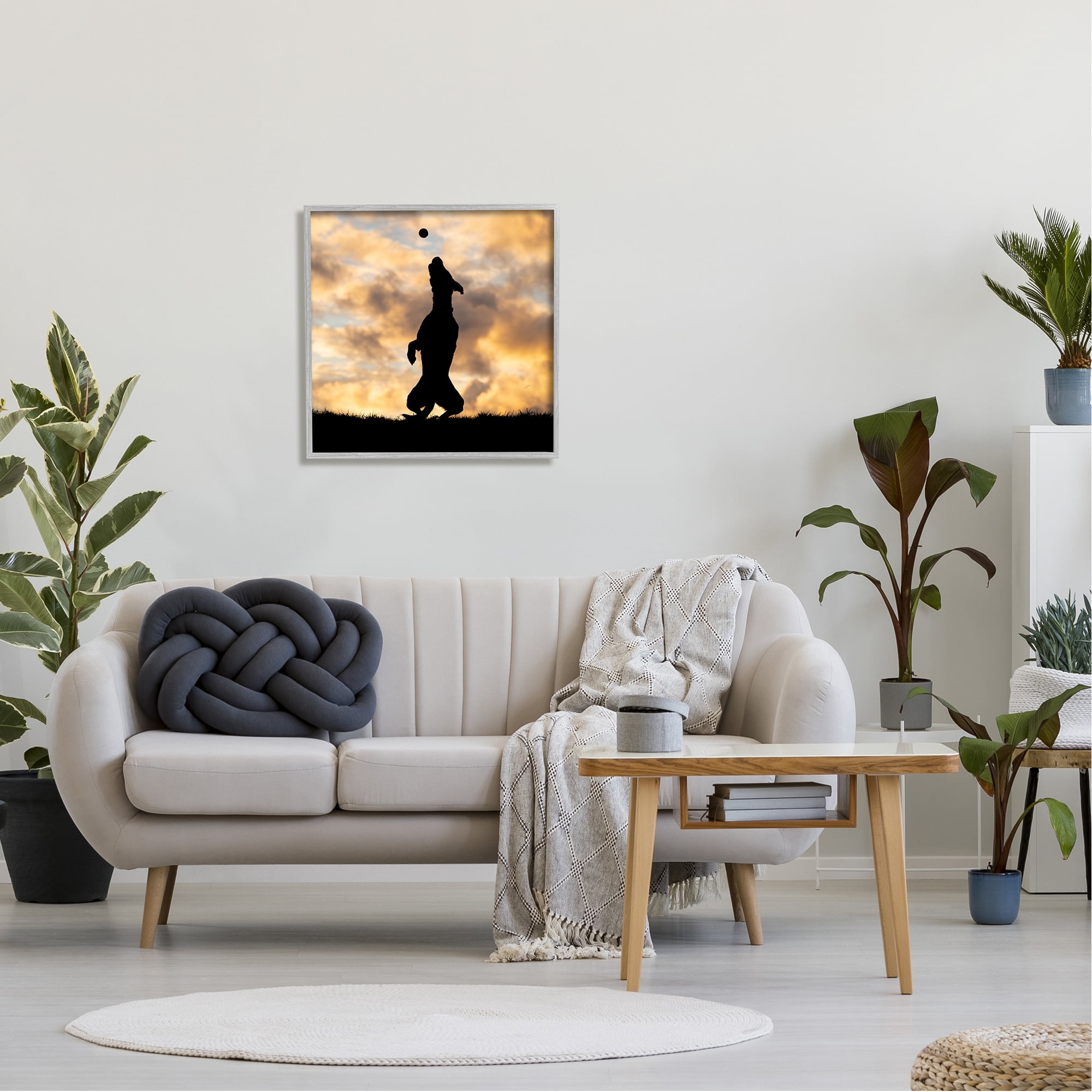 Stupell Industries Dog Playing Sunset Silhouette Animals & Insects Photography Gray Framed Art Print Wall Art, 24 x 24