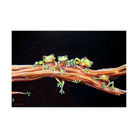 Trademark Fine Art 'Frog Froggie hood' Canvas Art by Deborah Broughton