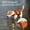 Orange, variant on RKZDSR Reflective Life Jacket for Dogs, Outdoor Pet Coat and Swimsuit for Water Safety