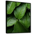 thumbnail image 2 of Designart "Serenity Among Palm Leaves I" Palms & Palm Trees Floater Framed Canvas Prints, 2 of 5