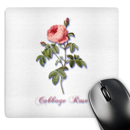 3dRose  Pink Cabbage Rose with Rosebuds Botanical Print  MousePad price history on PriceWatchPro