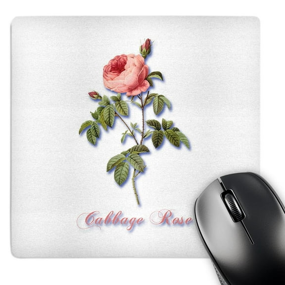 3dRose, Pink Cabbage Rose with Rosebuds Botanical Print, MousePad