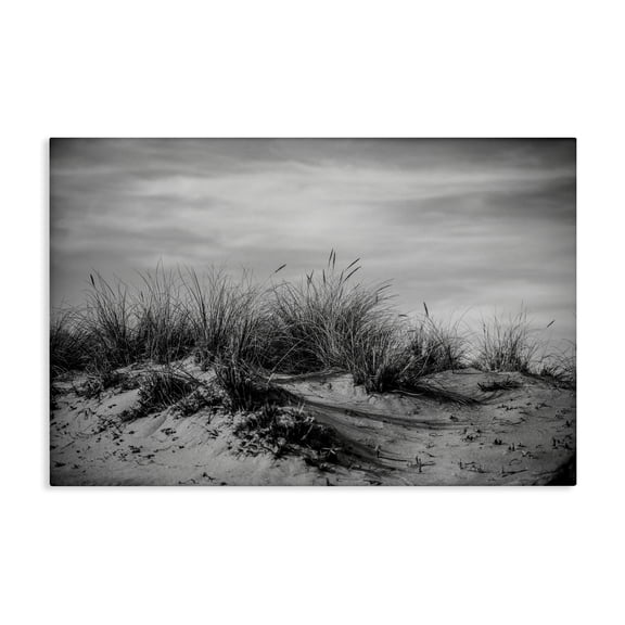 Stupell Industries Point Reyes Beach Dunes Landscape & Nature Photography Wrapped Canvas Art Print Wall Art, 24 x 16