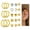 Gold-C, variant on 8Pairs Hypoallergenic Flat Back Stud Earrings for Women Men Ball Opal Cubic ZirconiaScrew Back Cartilage Earrings