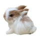 thumbnail image 1 of Mini conejo de peluche realista,Juguete de conejo peludo realista,Mini modelo,Conejo peludo realista en miniatura para accesorios de fotografía para, 1 of 9