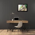 thumbnail image 4 of Kovacs, Anna Brigite 24x19 Black Modern Framed Museum Art Print Titled - Snow Leopard II, 4 of 5