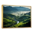 thumbnail image 2 of Designart "Fields of China Gleaming in Silk" Landscapes Framed Wall Art - Traditional Green China Living Room Framed Canvas Art, 2 of 6