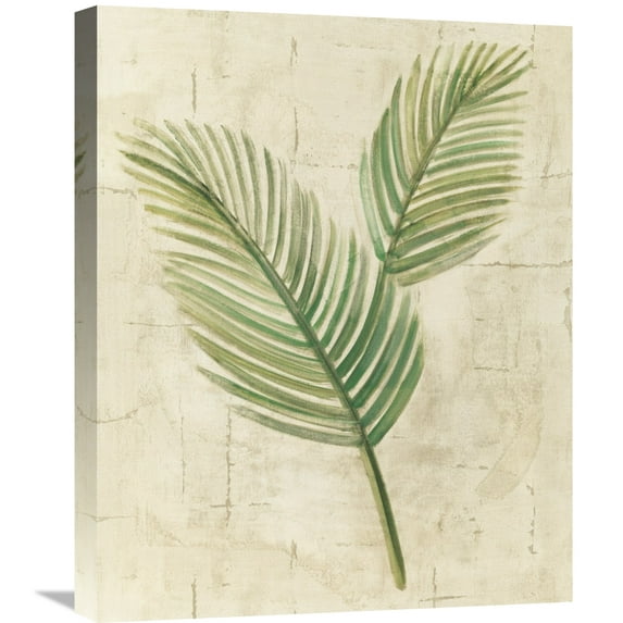 Global Gallery Albena Hristova 'Sago Palm Leaves Neutral Crop' Canvas Wall Art