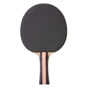 STIGA Performance Table Tennis Set (2 Player Set)