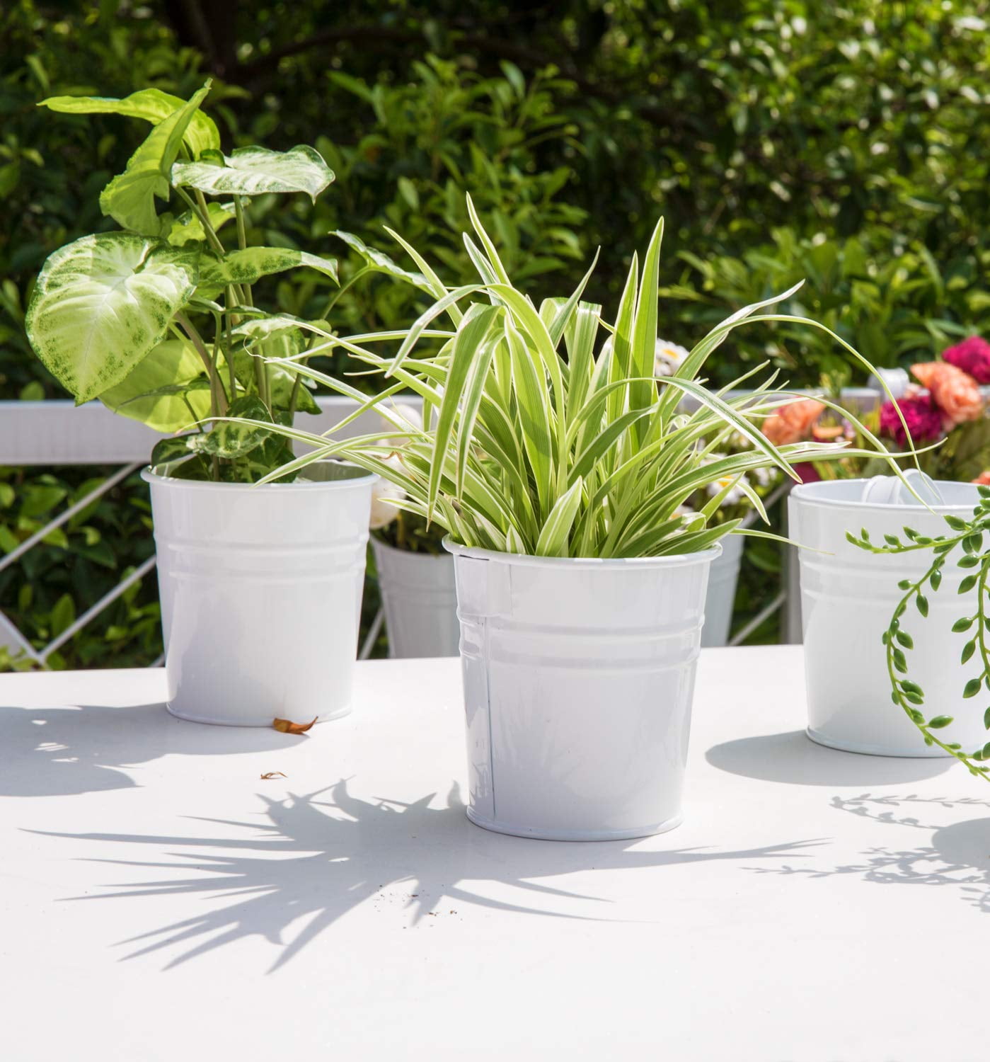 10 Pcs Hanging Flower Pots Metal Iron Bucket Planter for Railing Fence Balcony Garden Home Decoration Flower Holders with Detachable Hooks, White, 4 inches