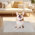 thumbnail image 3 of Ganfancp Summer Pet Ice Silk Mat Cats Bed Sofa Mat Summer Dog Cool Mat Cool Mat Tamaño 27.55X19.68 In Ofertas Del Día 1* Alfombrilla para Mascotas, 3 of 5