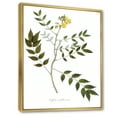 thumbnail image 3 of Designart 'Ancient Botanicals XVIII' Traditional Framed Canvas Wall Art Print, 3 of 5