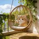 thumbnail image 4 of CaiYueKe Cute Cat Embroidery Pillow Cover - Flocked Velvet Decorative Throw Cushion Sofa Bedroom Living Room Accent Pillowcase, Faux Embroidery Animal Pattern Home Decor Gift for Women, 4 of 7