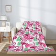 thumbnail image 2 of Disketp Flamingo Cozy Flannel Fleece Throw Blanket: Has a velvety texture for All Seasons - Perfect for Women, Men, & Kids"50"x40", 2 of 6