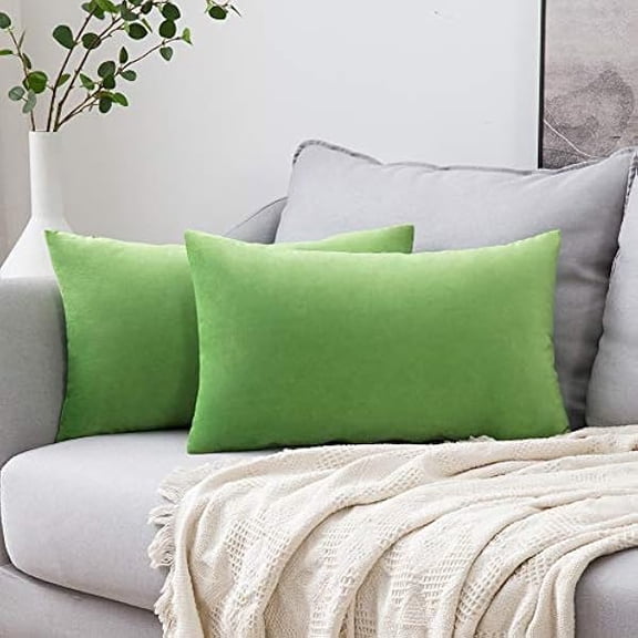 Eryueer Velvet Soft Decorative Square Throw Pillow Case Cushion Covers Pillowcases for Livingroom Sofa Bedroom with Invisible Zipper 12"x20" 2 Pieces Grass