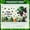 1A, variant on Green Theme St. Patrick's Day Banner Pattern Irish Celebration Display Shamrock Design Leprechaun Hat Happy St. Patrick's Backdrop for St. Patrick's Day Party Irish Festival Indoor Decoration