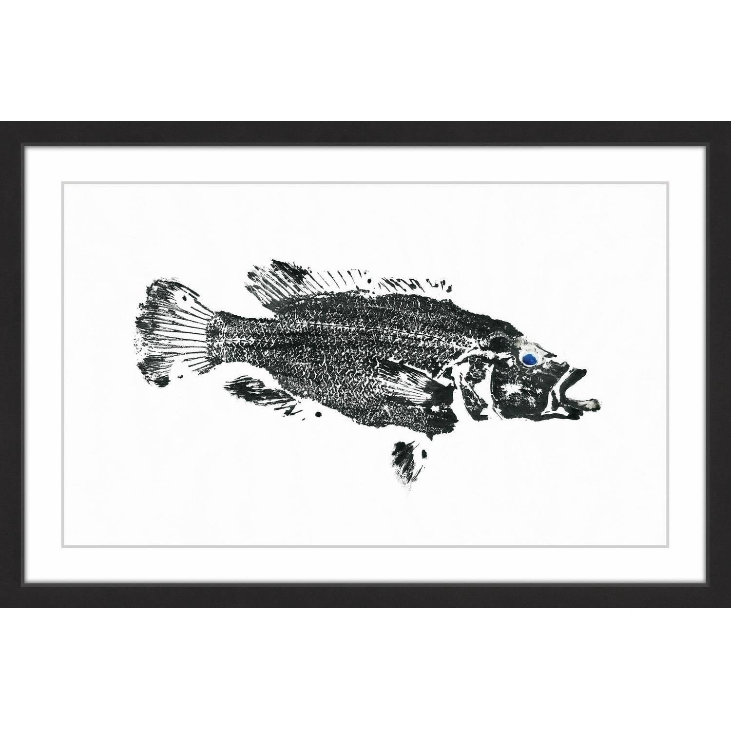 "Emperor Bass" Framed Painting Print