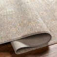 thumbnail image 4 of BoutiqueRugs Drika Traditional Area Rug - Taupe, Medium Gray, Tan - 10' x 13'11", 4 of 8