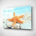 thumbnail image 2 of Epic Art 'Sea Star Dreams,' Acrylic Glass Wall Art, 16"x12", 2 of 3