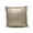 Champagne, variant on Fennco Styles Charming Sequin and Sherpa Decorative Throw Pillow (18"x18" Square, Champagne)