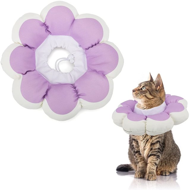 GHSDFBB Collier de Récupération pour Chat, Collier Elizabeth Coloré et Doux, Collier Cône pour Animaux de Compagnie Dessin Animé, Collier Protecteur après Chirurgie Ajustable pour Chats et Petits Chiens