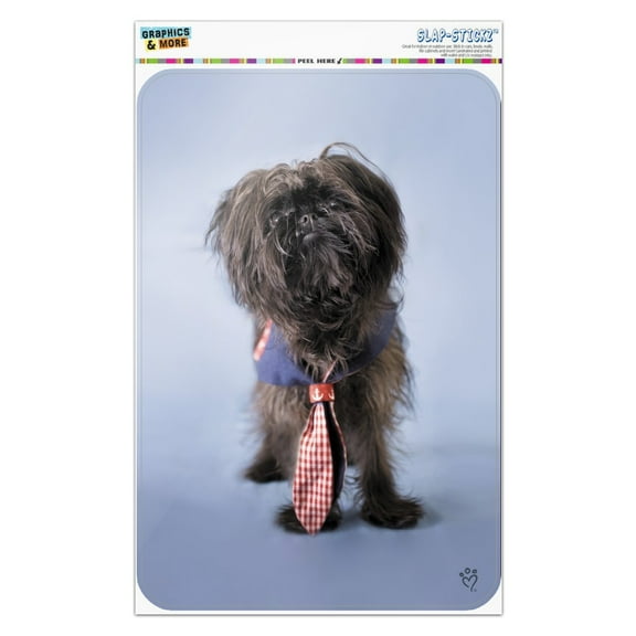 Affenpinscher Puppy Dog with Tie Home Business Office Sign