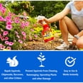 thumbnail image 3 of Nature's MACE Squirrel Repellent, 1 Gallon Ready-to-Use Spray, Treats up to 5,600 Sq.ft,, 3 of 7