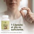thumbnail image 4 of Cápsulas softgel de 500 mg de aceite de orégano y aceite de coco ORE 100pz| suplemento natural inmunológico antimicrobiano, antifungioco digestivo | frasco con cápsulas blandas, 4 of 4