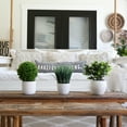 thumbnail image 5 of Nearly Natural 9in. Artificial Grass Plant with Decorative Planter, Green, 5 of 5