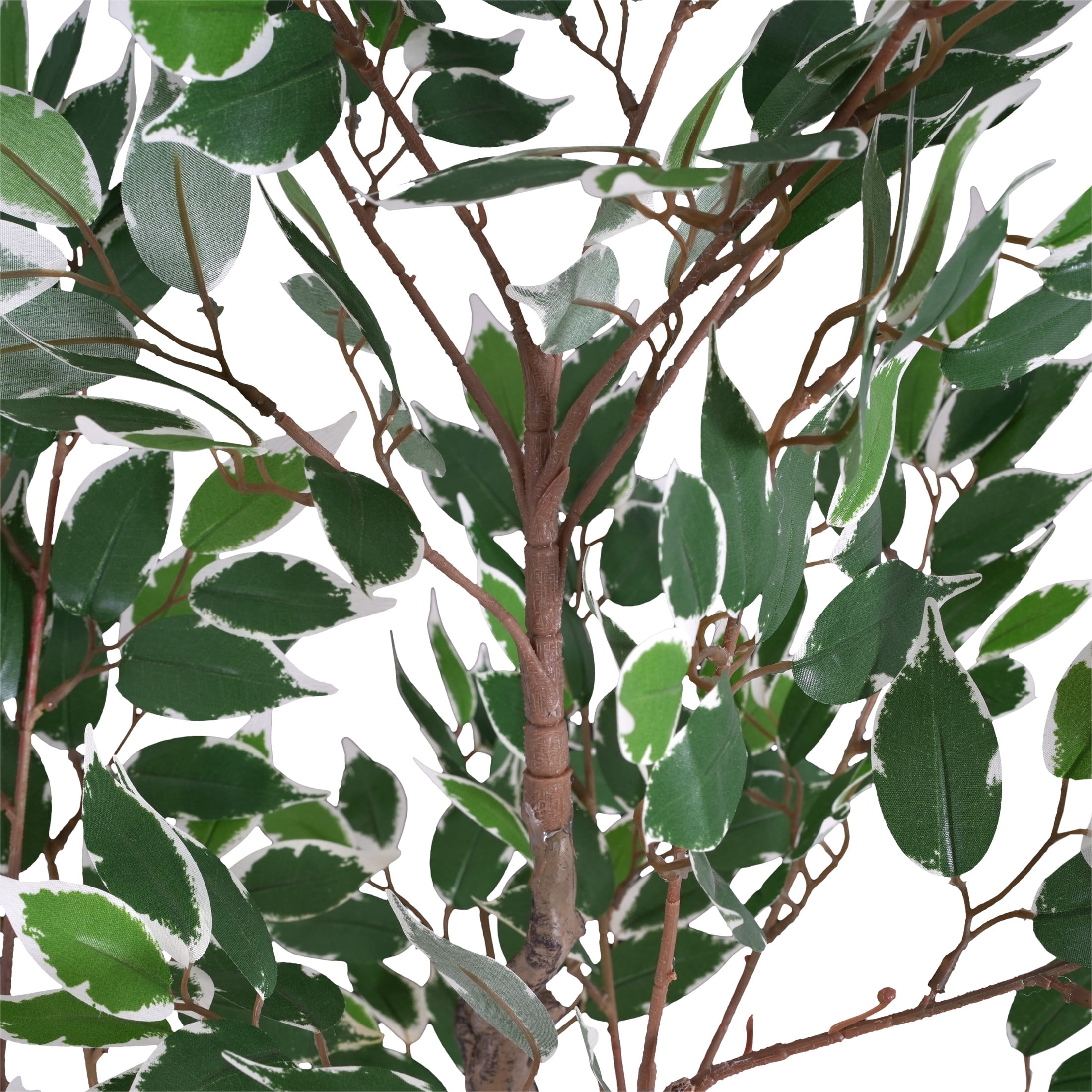 Christopher Knight Home 51" Artificial Ficus Tree in Black Plastic Pot, Pre-Potted Faux Greenery Tree for Home Decor