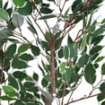 thumbnail image 5 of Christopher Knight Home 51" Artificial Ficus Tree in Black Plastic Pot, Pre-Potted Faux Greenery Tree for Home Decor, 5 of 9