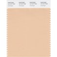 thumbnail image 1 of SMART 14-1217X Color Swatch , Amberlight, 1 of 5