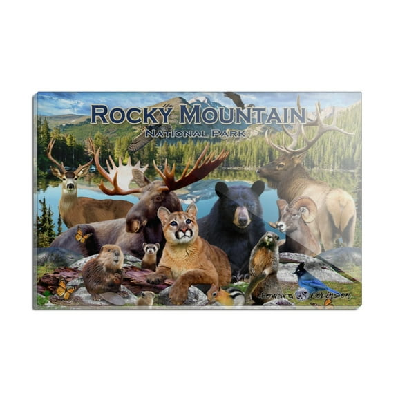 Rocky Mountain National Park Animals Moose Cougar Bear Beaver Elk Rectangle Acrylic Fridge Refrigerator Magnet