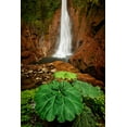 thumbnail image 2 of Jones, Adam 23x32 White Modern Wood Framed Museum Art Print Titled - Catarata Del Toro Waterfall-in the mountains of Bajos del Toro Amarillo-Sarchi-Costa Rica, 2 of 4