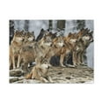 thumbnail image 4 of Wolf Pack Ready To Hang Stretched Canvas Wall Art, 4 of 18