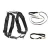 PetSafe 3 in 1 Harness with Two Point Control Leash - No-Pull Harness - Medium - Black - Adjustable