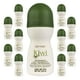 thumbnail image 2 of Zermat Desodorante Kiwi perfumado 24 horas paquete 10 piezas Roll On, 2 of 3