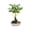 A, variant on Lifelike Artificial Riches and Honor Tree Potted Bonsai Ornaments, Easy-Care Simulated Green Bonsais, Elegant Indoor Decorative Furnishings for Living Room Study Room and Home Space Layout, B