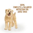 thumbnail image 2 of Beneful Repas Préparés Ragôut de Poulet, Nourriture Humide pour Chiens 283 g, 2 of 8
