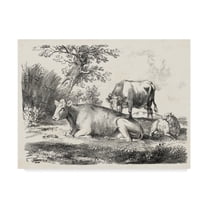 Trademark Fine Art 'Rural Charms IV' Canvas Art by Unknown