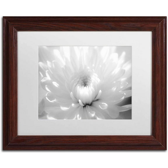 Trademark Fine Art 'Infrared Flower 2' Canvas Art by PIPA Fine Art, White Matte, Wood Frame