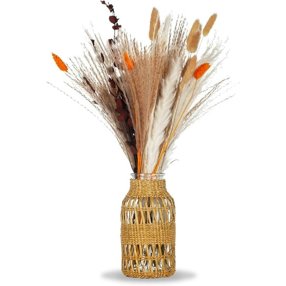 WHJY Boho Vase for Home Decor Farmhouse Vase for Dried Pampas Flower Vase with Rattan Cover End Table Decorations for Living Room-Small