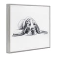 thumbnail image 3 of Stupell Industries Shabby Chic Bloodhound Pup Naptime Gray Framed Giclee Art, 30 x 24, by Lindsay Kivi Fine Art, 3 of 8