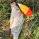 thumbnail image 5 of Flotadores de cebo de pescado boya de recordatorio de mordedura de pescado de plástico de fundición larga portátil deportes al aire libre aparejos accesorios de pesca de mar Hugtrwg  Para estrenar, 5 of 9